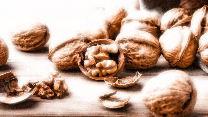 Сонник – грецкий орех. Приснились грецкие орехи