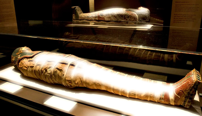 Сонник – Мумия. К чему снится мумия