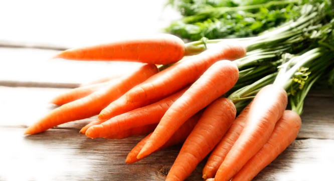 Сонник Морковь. К чему снится морковь